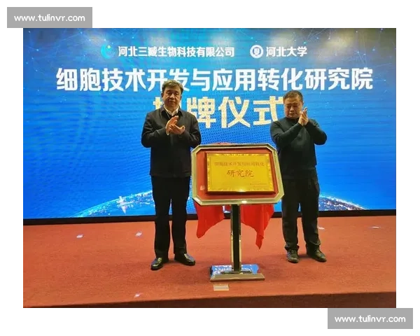 坚守防线策略解析与实战应用的全面研究